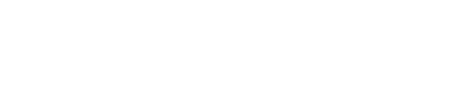 BAER.SW_BIG.D